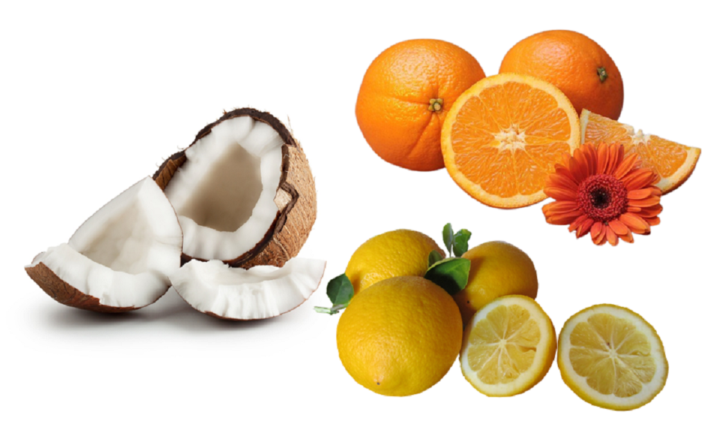 Kokosnuss offen, Orangen und Zitronen