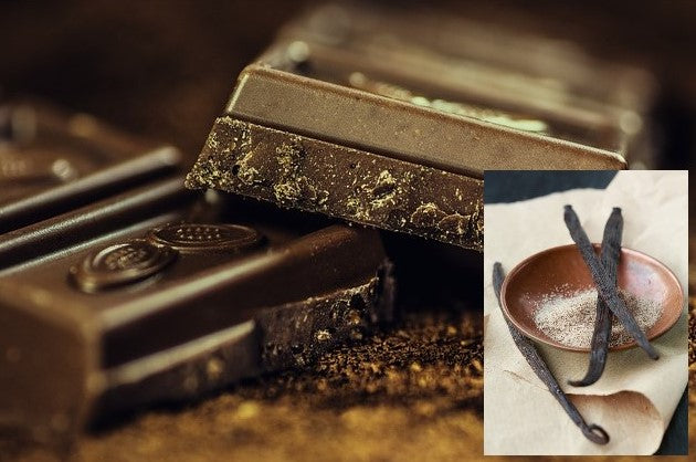 Schoko-Stücke und Vanille-Schoten
