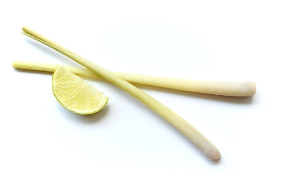 Lemongras Zweige und Limone