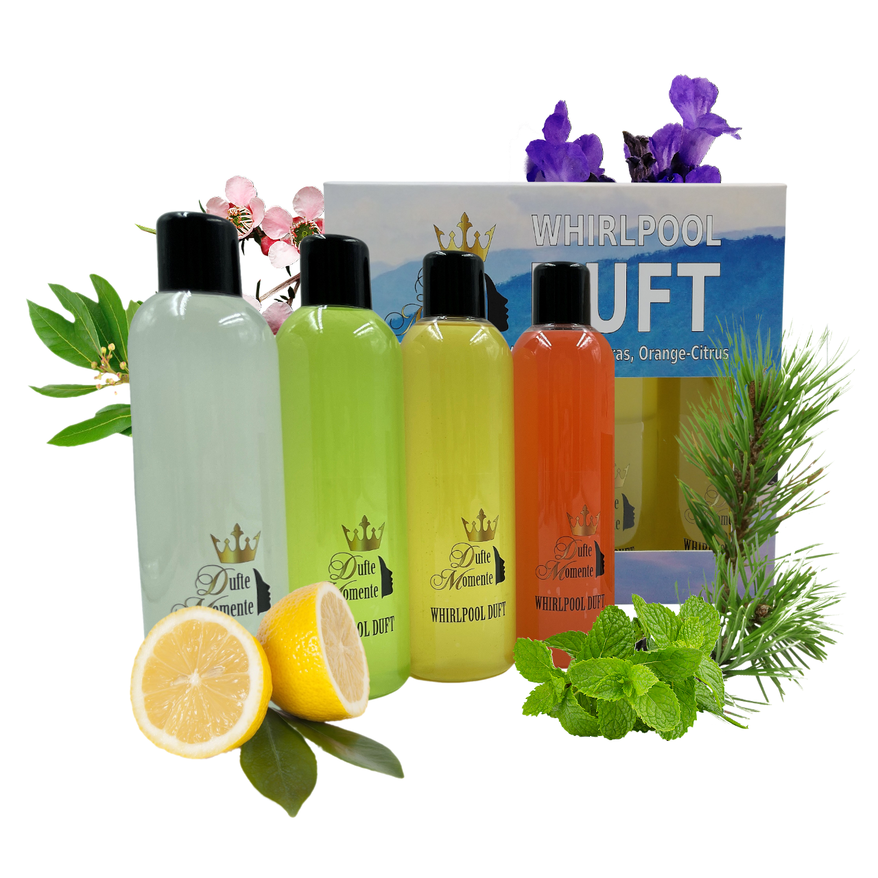 Whirlpoolduft Set 4x 250 ml,umrahmt von Früchten, Blüten und Kräutern