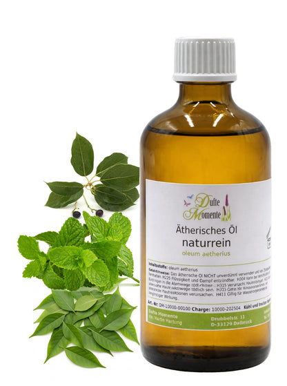 Ätherische Ölmischung Die sieben Tibeter 100 ml Flasche mit Minze und Cajeputblättern