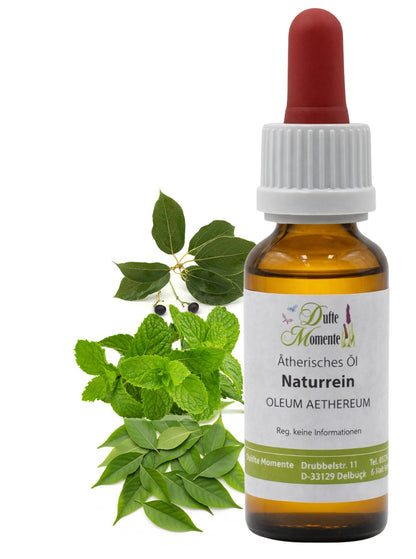 Ätherische Ölmischung Die sieben Tibeter 10 ml Flasche mit Pipette und mit Minze und Cajeputblättern