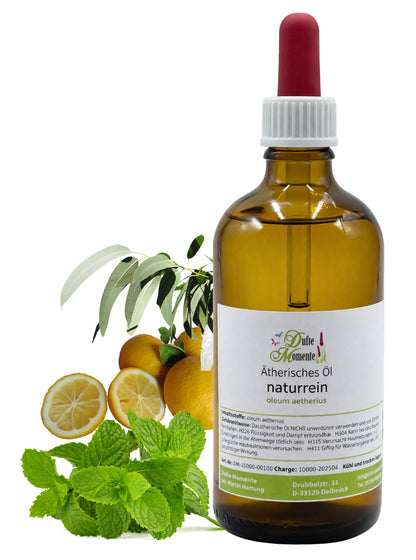 Ätherische Ölmischung Gute Besserung naturrein mit Eukalyptus Minze und Zitrone in Glasflasche Dufte Momente 100 ml mit Pipette