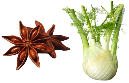 Stern-Anis und Fenchel-Knolle