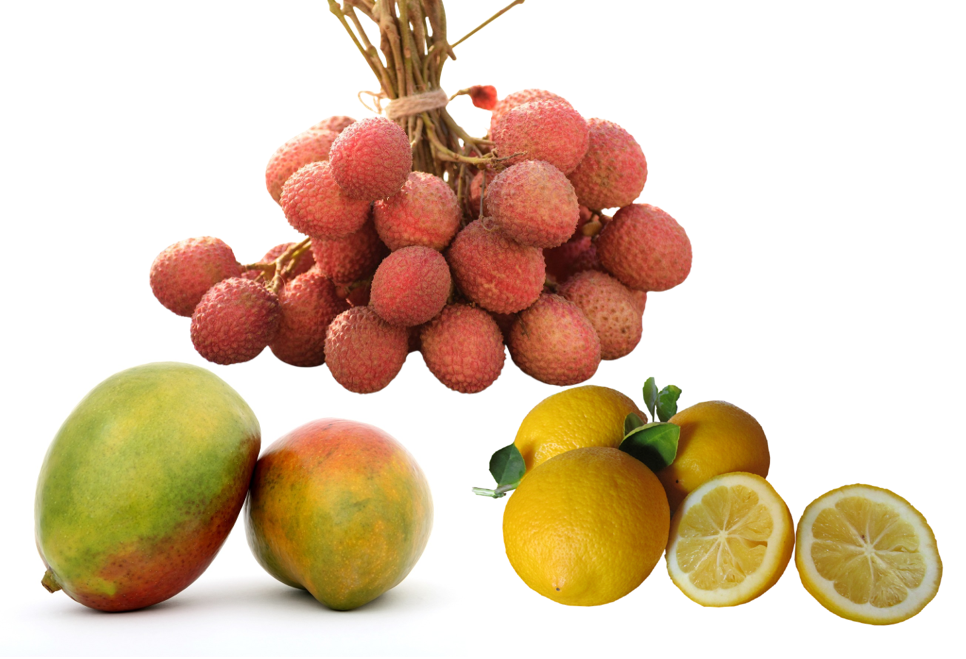 Papaya, Zitronen und Litschi-Früchte