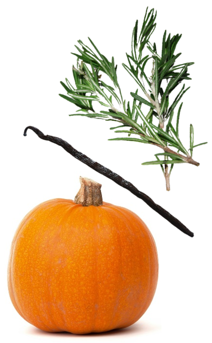 Kürbis und Gewürze