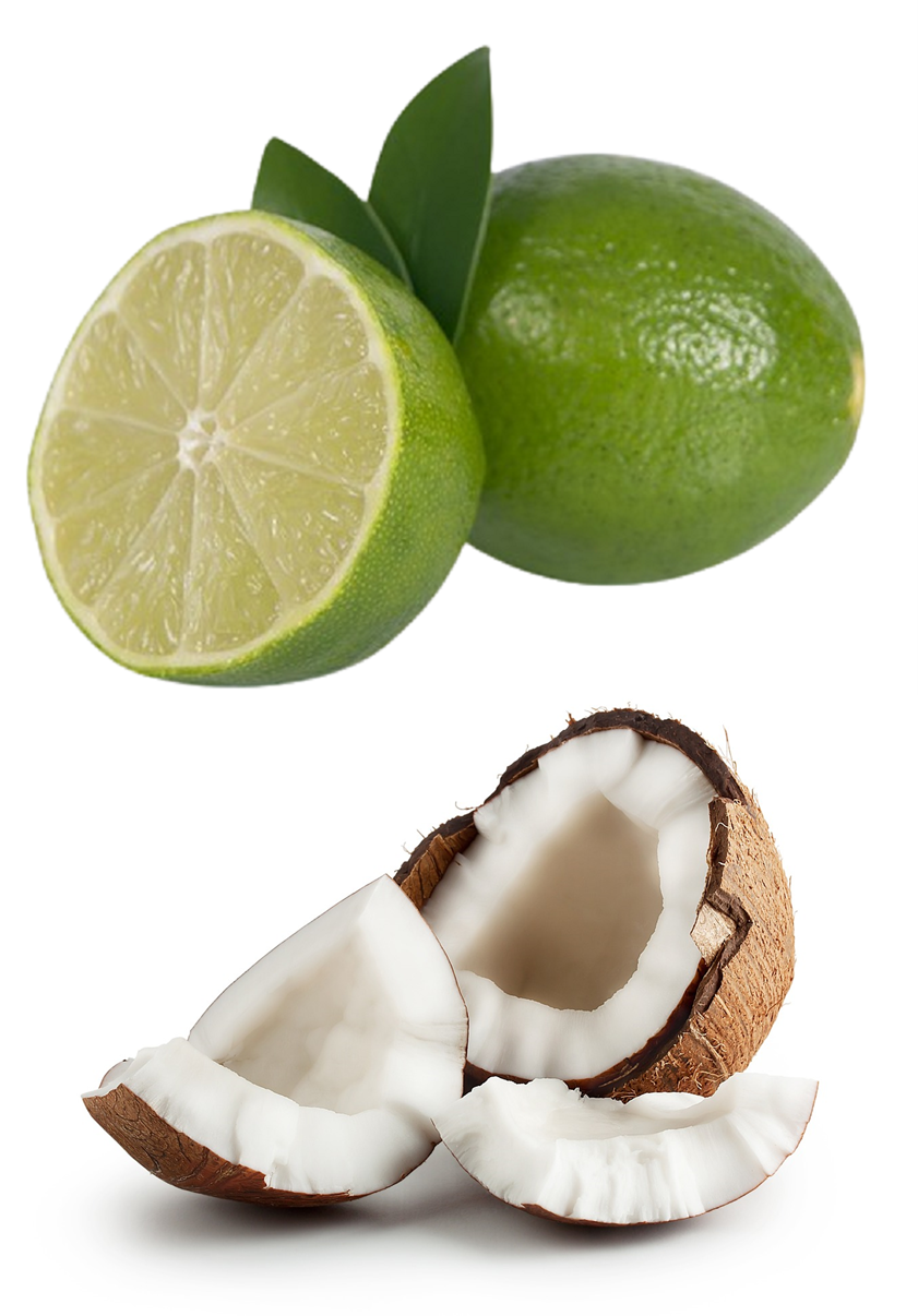 Kokos-Limette Saunaaufguss-Konzentrat | 250 ml – 3 L | Exotisch & Frisch
