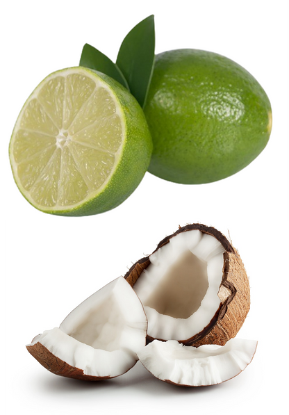 Kokos-Limette Saunaaufguss-Konzentrat | 250 ml – 3 L | Exotisch & Frisch