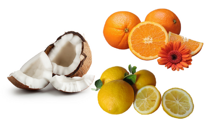 Kokosnuss offen, Orangen und Zitronen