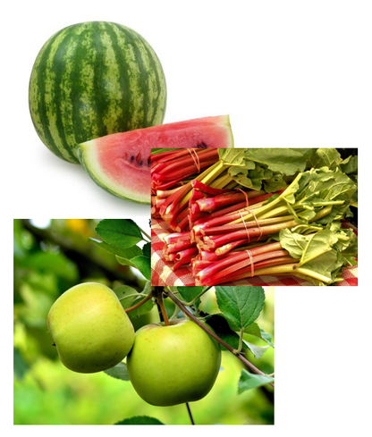 Melone, Rhabarber-Strauch und grüne Äpfel