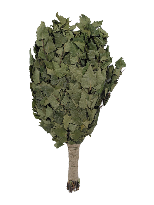 Birkenreisig